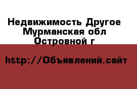 Недвижимость Другое. Мурманская обл.,Островной г.